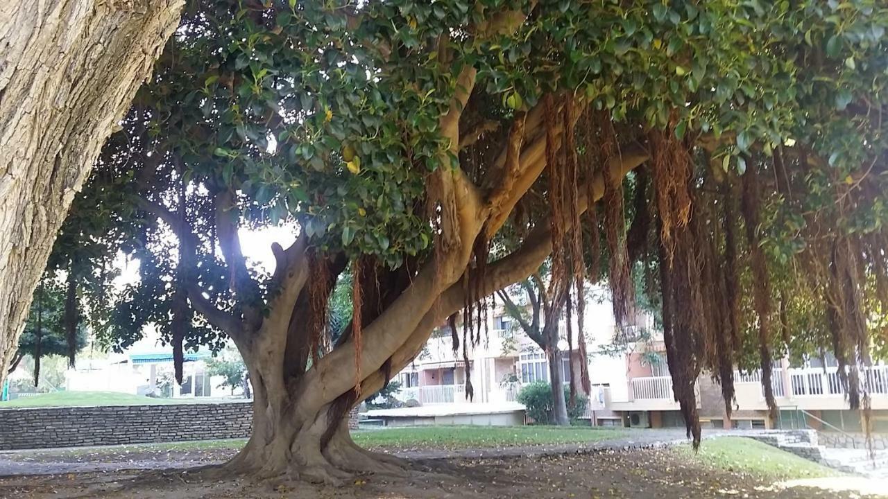 Benalmadena Aguila Apartment Sea View المظهر الخارجي الصورة